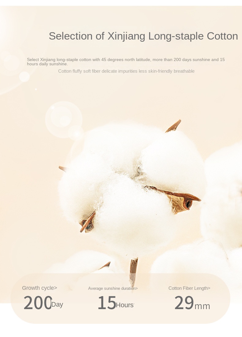 Cotton Winter 2